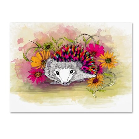 Trademark Fine Art The Tangled Peacock 'Rainbow Hedgie' Canvas Art, 35x47 ALI13473-C3547GG